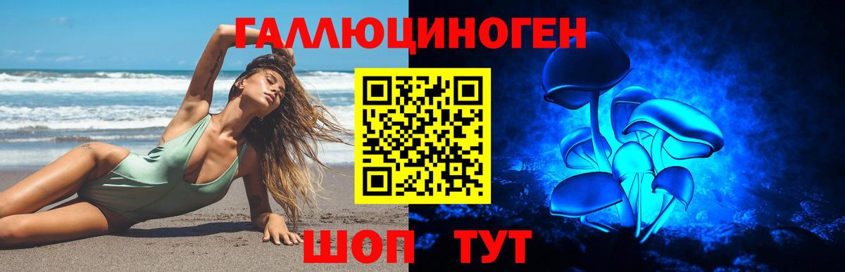 Галлюциногенные грибы Psilocybine cubensis  Вход с VPN  Галлюциногенные грибы MAGIC MUSHROOMS  Волжский 